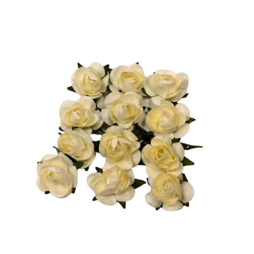 roses beiges glorex