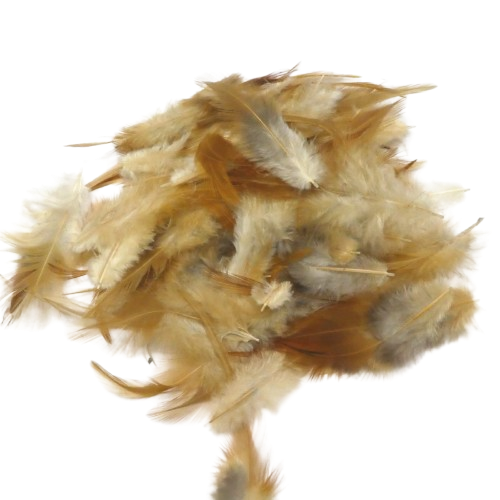 mélange plumes rayher