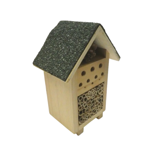 maison à insecte (2)