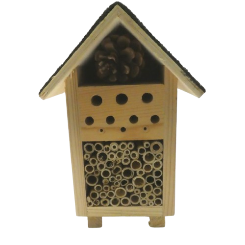 maison à insecte