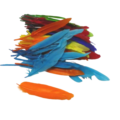 plumes indien apli