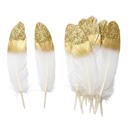plume blanche bout doré