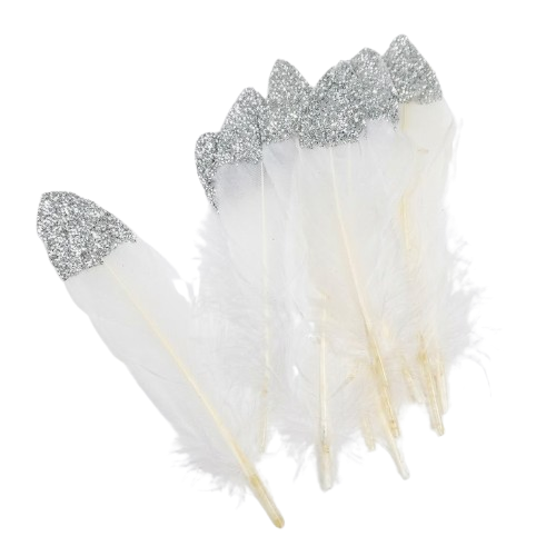 plumes blanches bout argenté