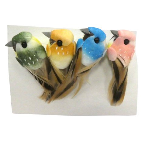 oiseau artemio