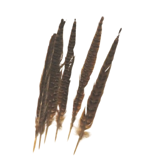 plumes tigrée artemio