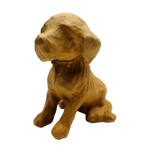 chien