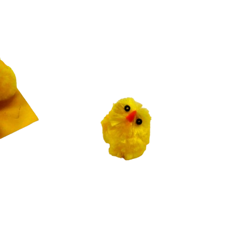 poussins