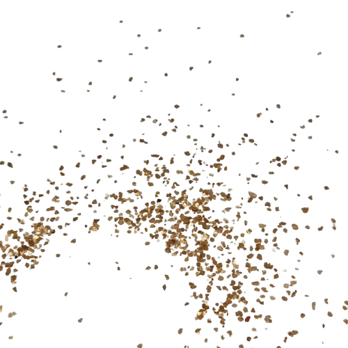 paillettes rayher