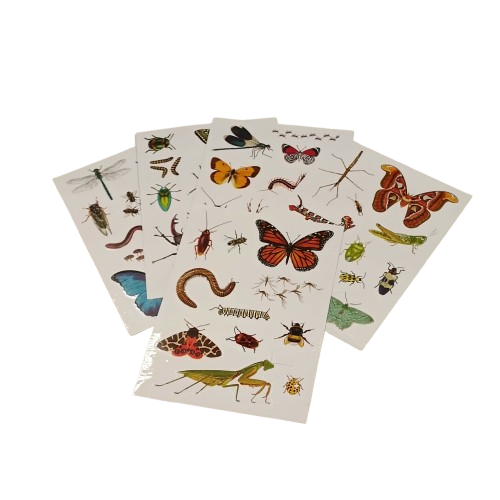 stickers insectes