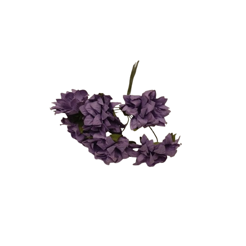 anémone rayher violette