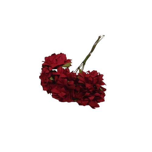 anémone rayher rouges