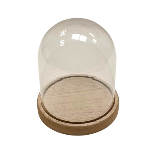 cloche acrylique graine creative