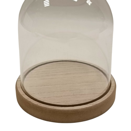 cloche acrylique kit creation