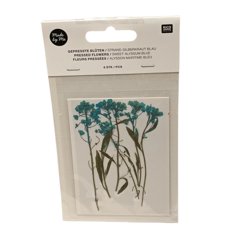 fleurs séchées rico design bleues