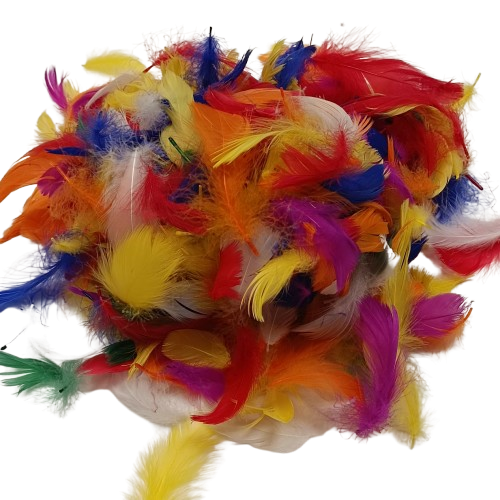 lot de plumes apli