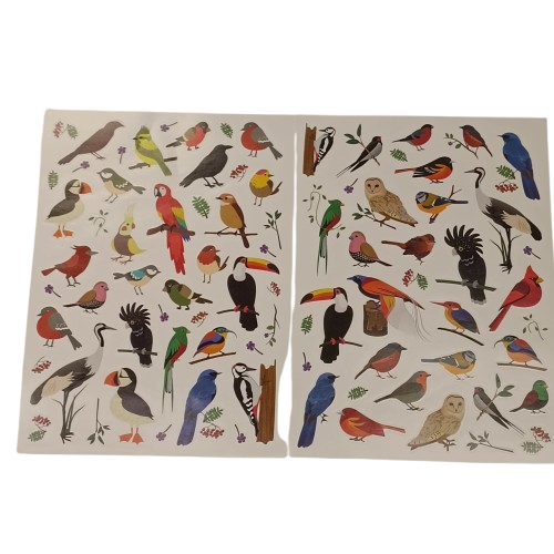 gommettes oiseaux réalistes