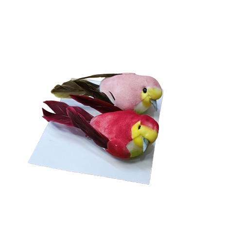 oiseaux rouge rose