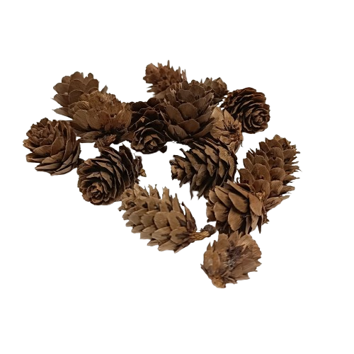 minis pomme de pin kit creation