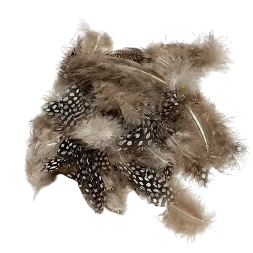 plumes artemio