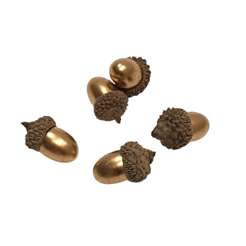 glands dorés