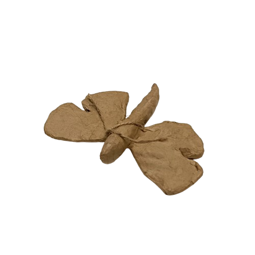 papillon decopatch