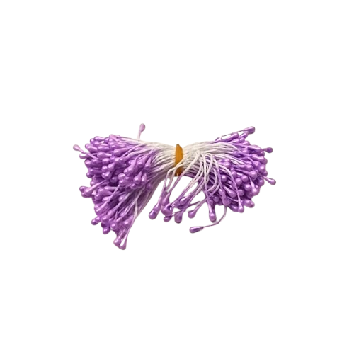 pistils fleurs  lilas
