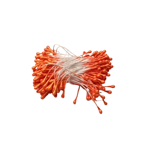 pistils fleurs orange