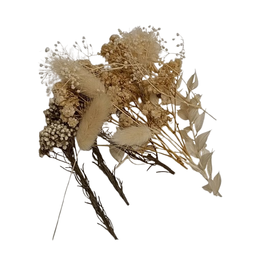 fleurs séchées kit creation blanc