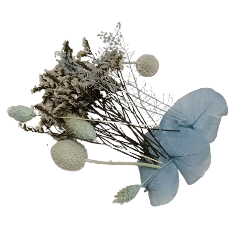 fleurs séchées kit creation bleu