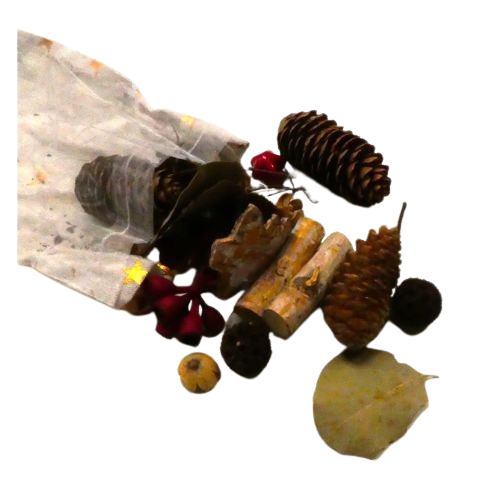 pochon noël