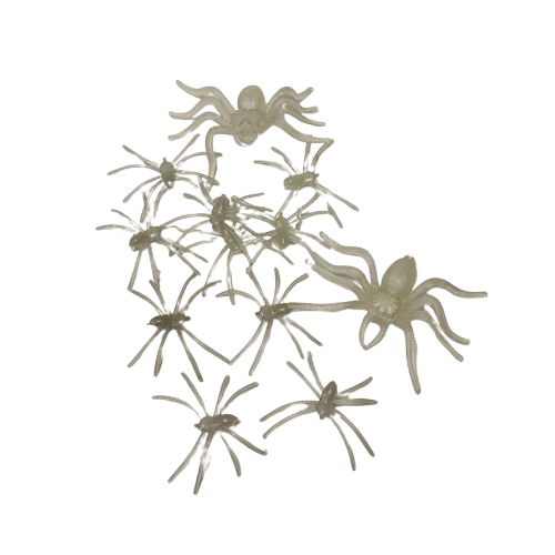 araignée fluorescente