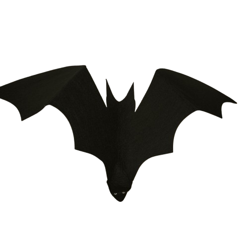 chauve souris à suspendres