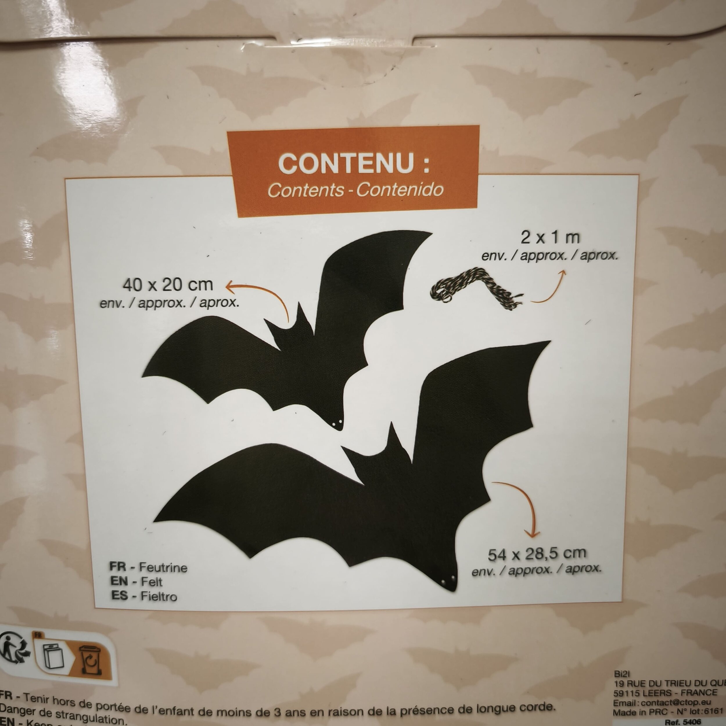 chauve souris