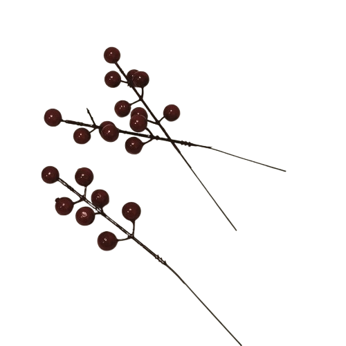 Branches baies rouges