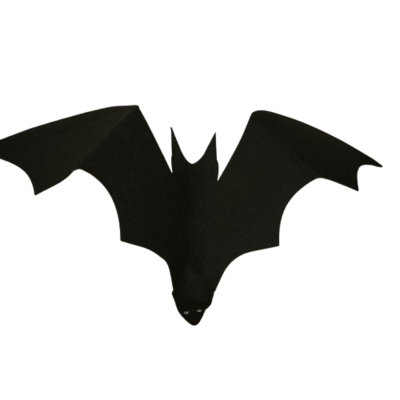 chauve souris à suspendres