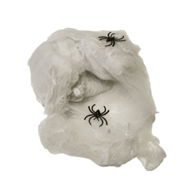toile araignée