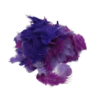 plumes mélange violet