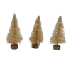 sapin blanc 7 cm x 3