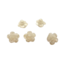 fleurs blanches matt
