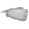 plumes d'oie Rayher blanc