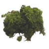 mousse végétale verte glorex