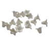fleurs blanches