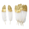 plume blanche bout doré