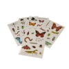 stickers insectes