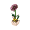 puzzle 3D le pivoine