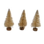 sapin blanc 7 cm x 3