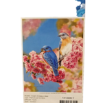 peinture numero oiseaux bleu