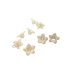 fleurs blanches