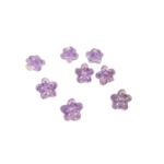 fleurs violette