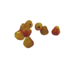 miniatures oranges (2)